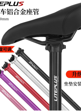 liteplus折叠车座管坐杆坐管33.9口径座杆P8 K3 plus风行412改装
