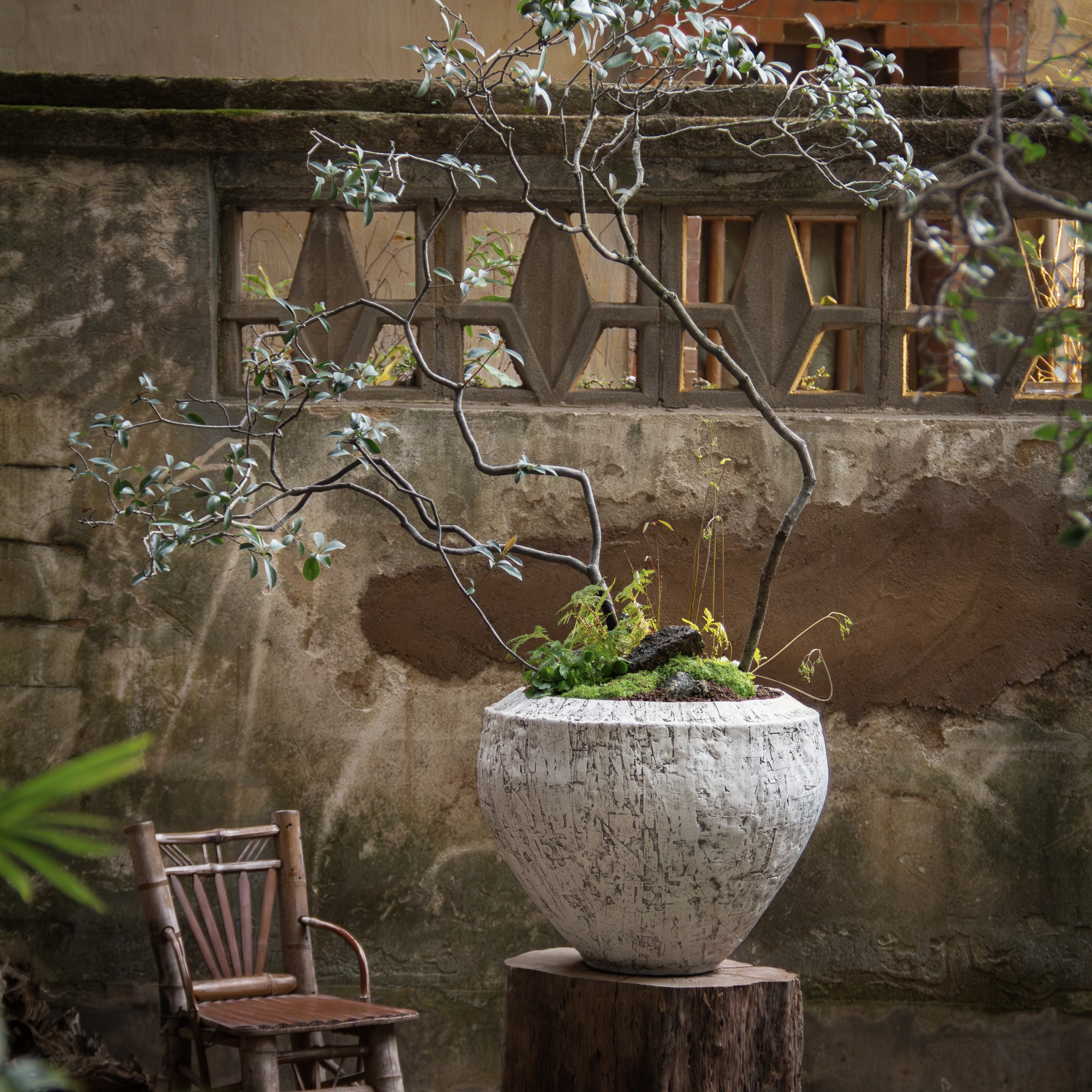 家用南法风镁泥落地大陶罐巴恩风