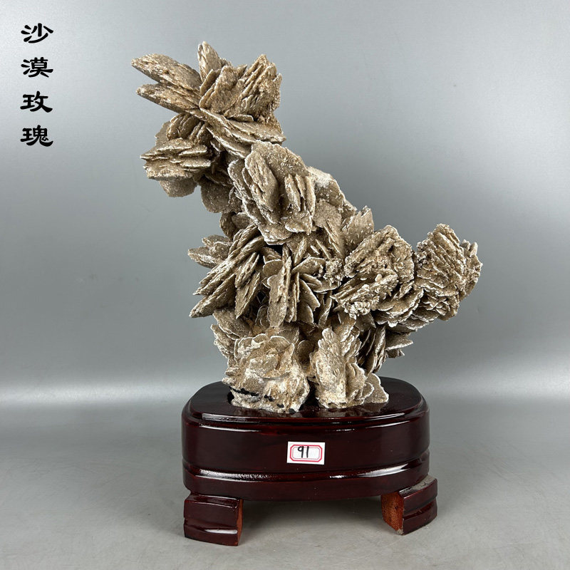 天然奇石沙漠玫瑰石菊螺菊石鸮头贝木化石贝壳古生物化石家居摆件