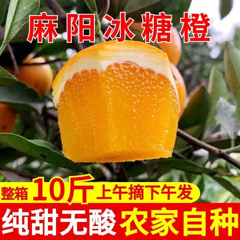麻阳冰糖橙10斤新鲜水果薄皮榨汁