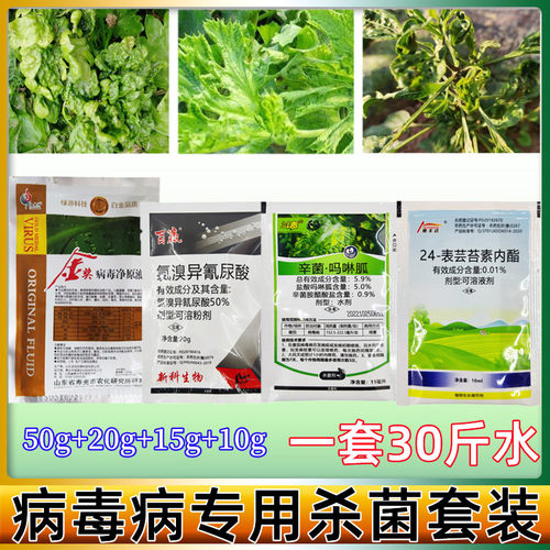 农药病毒病专用药一遍净