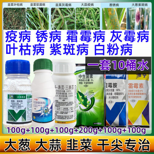 大蒜葱韭菜农药杀菌剂专用药