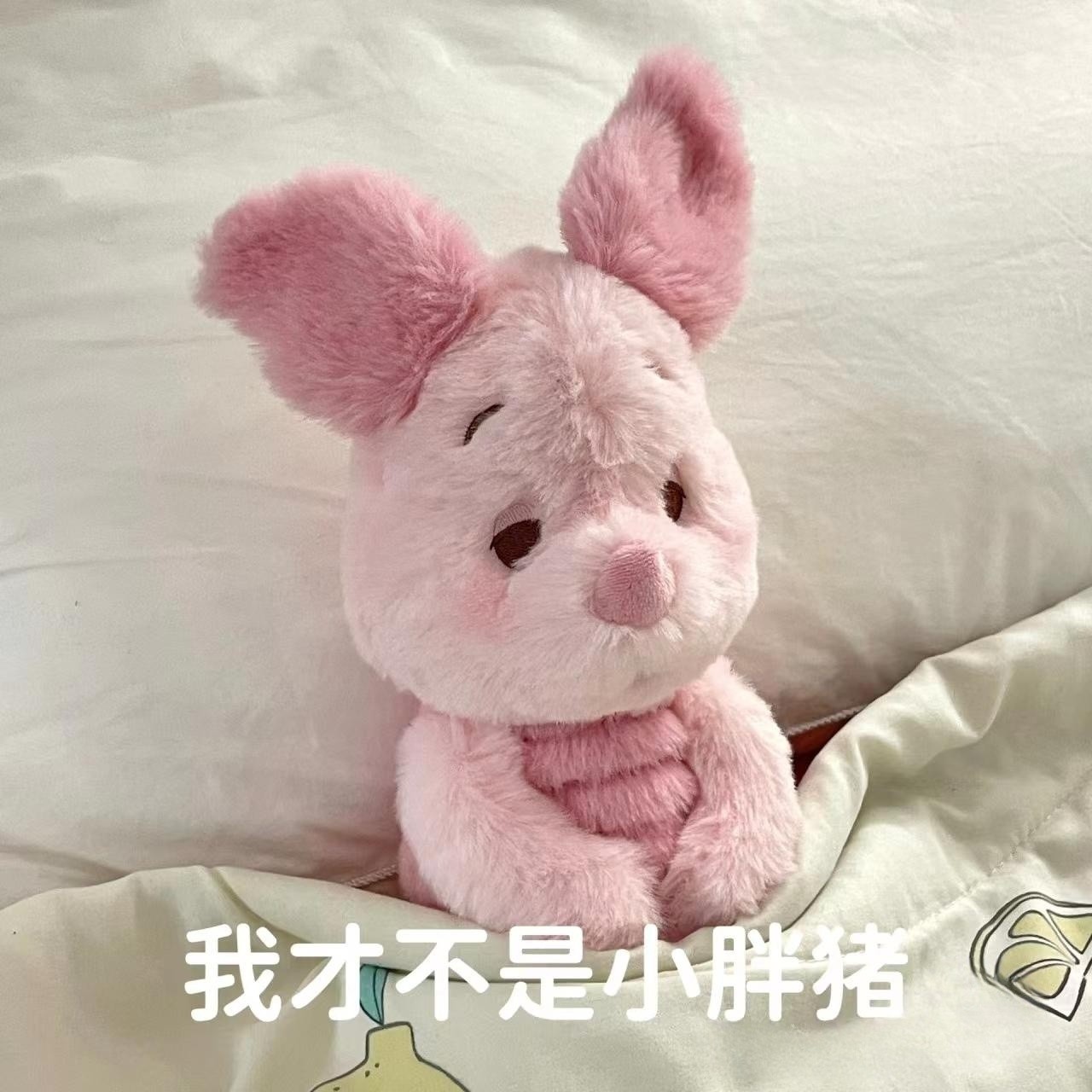东迪可爱呆萌瞌睡皮杰猪公仔毛绒玩偶粉色小猪娃娃送女友生日礼物