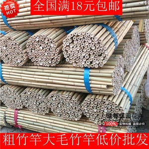 竹竿各种规格竹子菜园搭架篱笆栅栏彩旗装潢跳舞竹杆