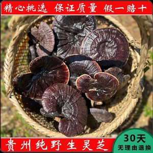 贵州纯野生灵芝紫灵芝黑灵芝特级大个整枝切片新货非一斤装250克