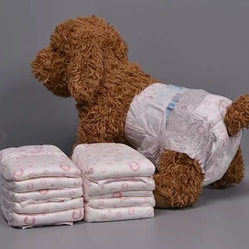 宠物护垫狗狗生理期卫生巾月经裤姨妈巾中型犬小型犬泰迪护垫30片