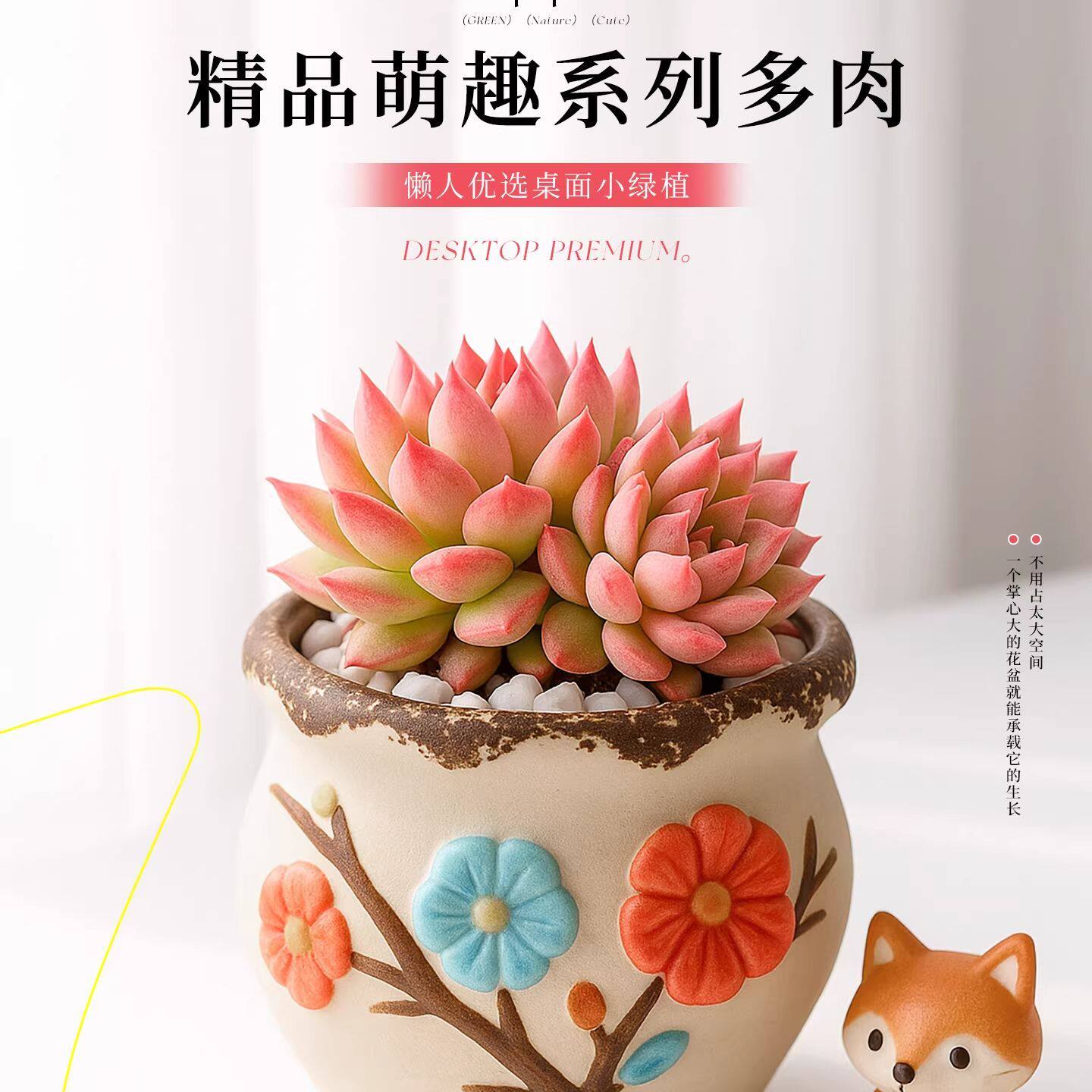 多肉植物组合室内小盆栽玉露桃蛋老桩仙人球绿植幼儿园仙人掌DIY