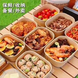 春游野餐盒一次性户外果切打包盒餐盒露营盒子水果寿司轻食便当盒
