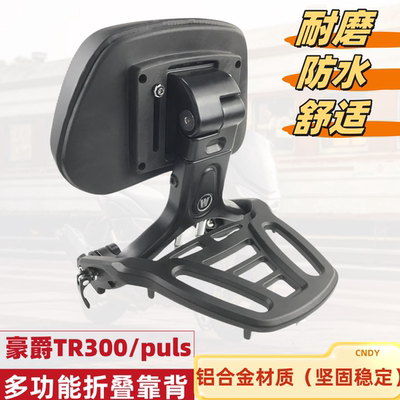 豪爵TR300PLUS折叠靠背