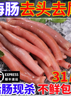 海肠沙虫鲜活速冻海捕1000g商用