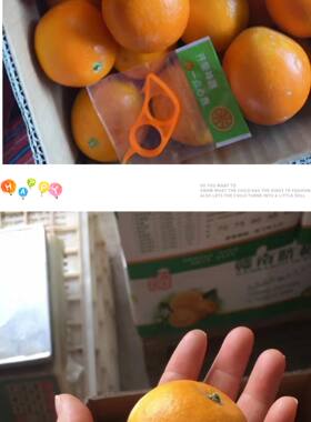 寒冷地区泡沫箱  专拍链接，