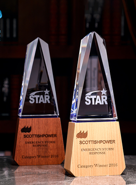 水晶奖杯定制定做实木奖杯刻字创意优秀员工颁奖内雕奖牌奖座年会