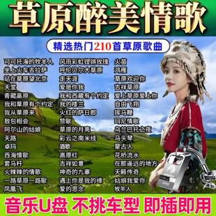 经典草原歌曲车载音乐u盘天籁之音高原情歌藏歌金曲音响可用mp3