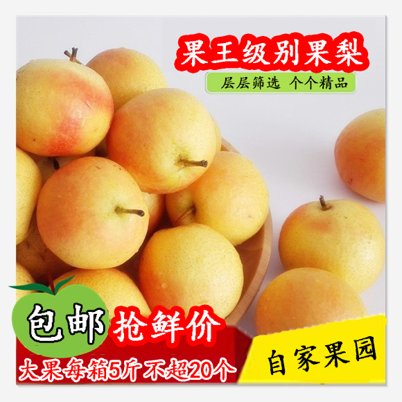 鞍山大屯南果梨辽宁软糯香甜多汁
