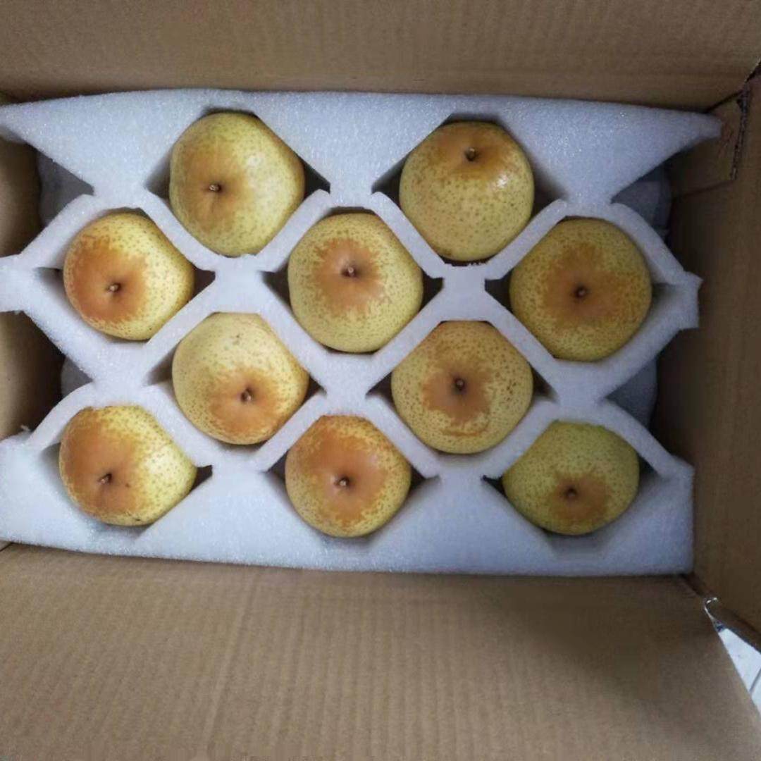 正宗花盖梨软梨新鲜水果肉厚多汁
