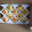 鞍山花盖梨5斤 东北辽宁特产新鲜软梨子水果可做冻梨 包邮