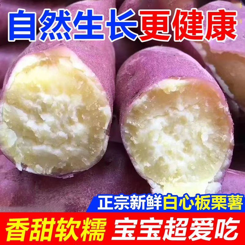自冉香河南白心蜜薯软糯香甜