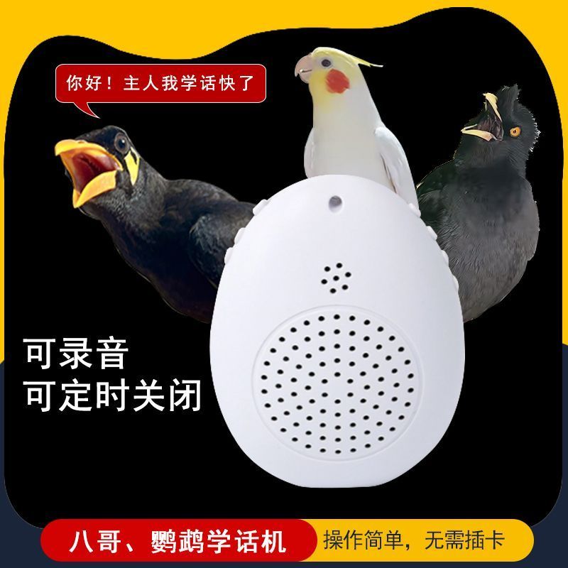鹦鹉学说话神器录音机鸟用复读八