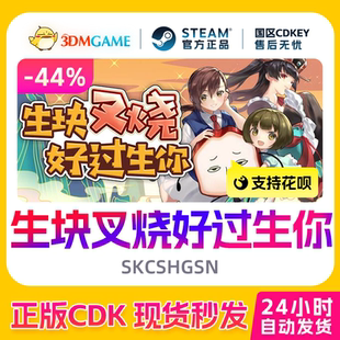 国区CDKEY Steam正版 SKCSHGSN 生块叉烧好过生你 现货秒发 激活码