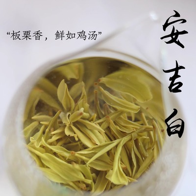 清山茶事绿茶安吉白茶