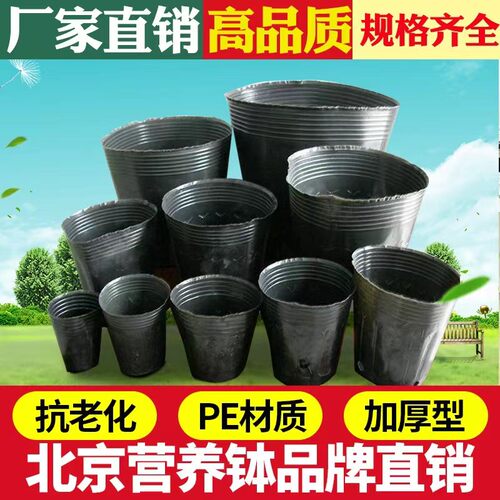 营养杯厂家直销育苗杯