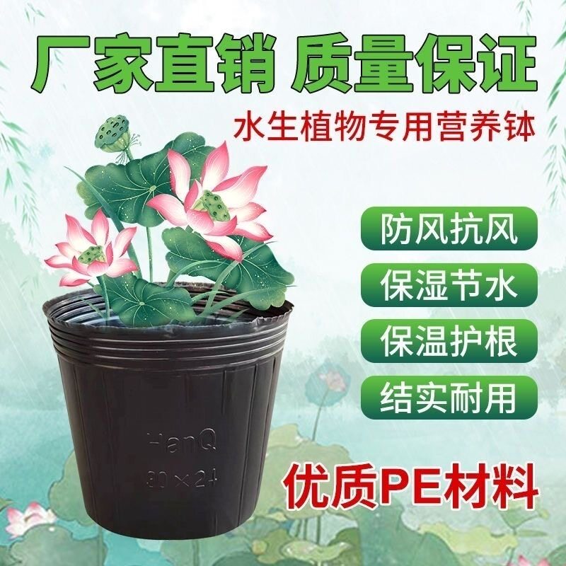 水盆 无孔营养钵 加厚塑料睡莲不漏水 荷花盆 碗莲盆 荷花营养杯图片