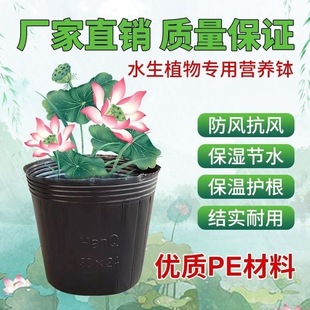 水盆 无孔营养钵 加厚塑料睡莲不漏水 荷花盆 碗莲盆 荷花营养杯