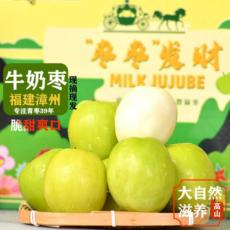 精选大果/果王)正宗福建漳州贵妃牛奶枣新鲜现摘青枣蜜枣脆甜水果