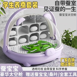 蚕宝宝学生养蚕套装活体春蚕卵幼虫金丝蚕种彩色12龄新鲜桑叶喂蝉