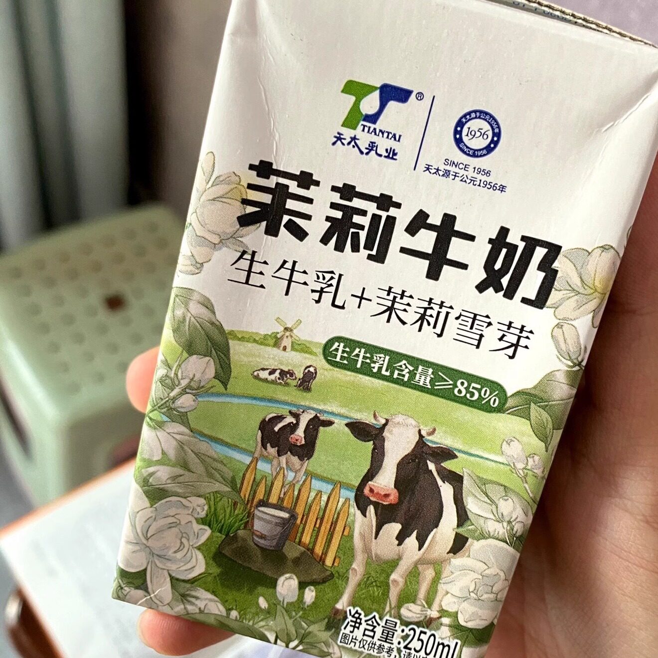 新货天太茉莉牛奶生牛乳+茉莉雪芽儿童成人早餐奶250ml*6盒