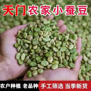 干蚕豆23年新货农家新鲜小籽生蚕豆干货胡豆湖北老品种豌豆罗汉豆