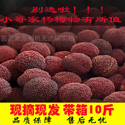 仙居杨梅孕妇小孩新鲜杨梅助农