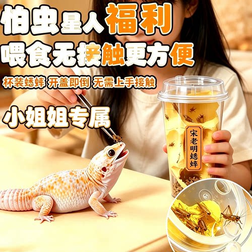 北京奶茶杯白蛐蛐针头蟋蟀