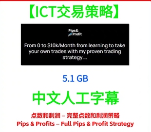 ICT交易策略价格行为裸K完整点数和利润策略Pips&Profits视频资料