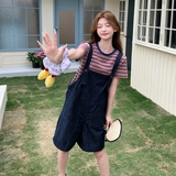 新品263-Y1038-P145-K208套装，女装套装/套裙，Yologo