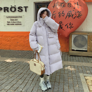 现货 50鹅绒 263-S732-P365-K548图片
