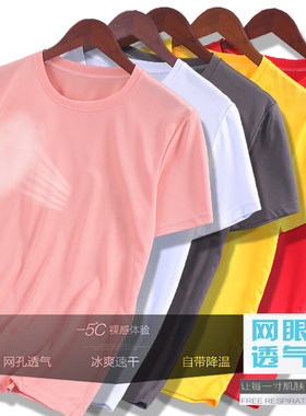 训练健身服透气排汗冰丝网眼短T