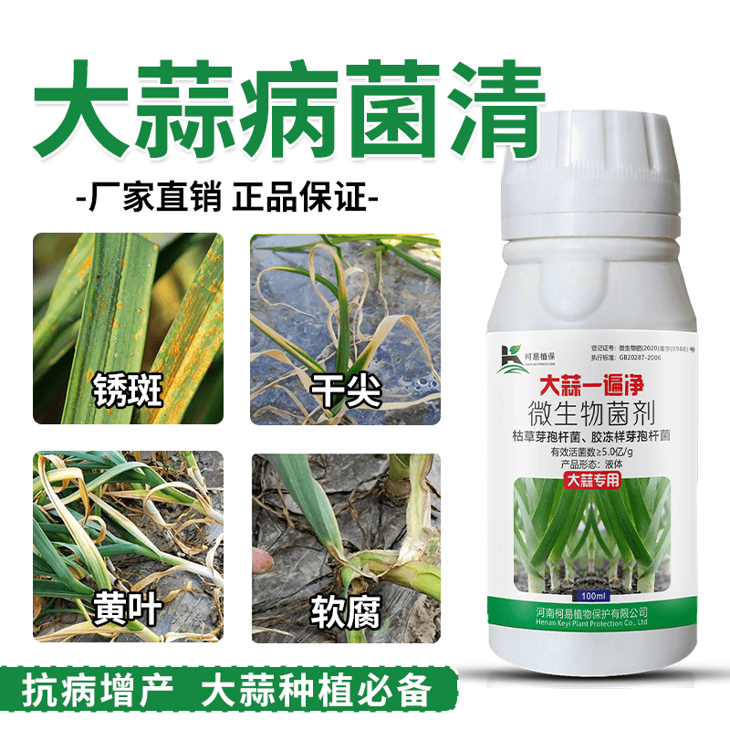 沃柯易大蒜一遍净专用生物菌肥