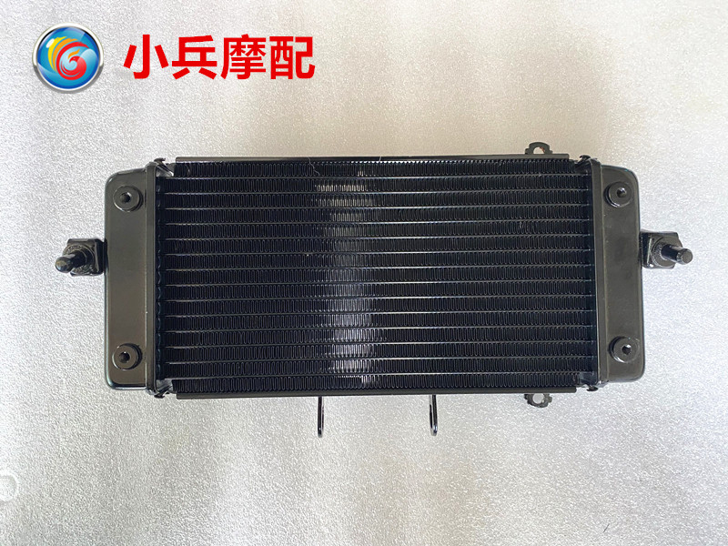 适用铃木骊驰GW250-A国四摩托车发动机水箱散热器水冷器冷却