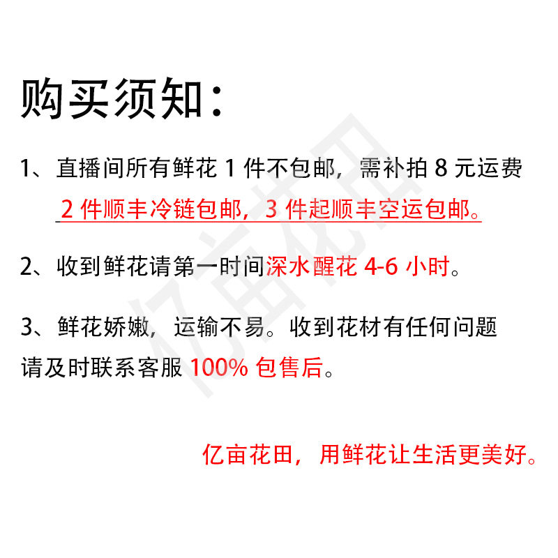 花田优选#稀有ab级单头玫瑰 2件顺丰冷链包邮 3件起顺丰空运包邮