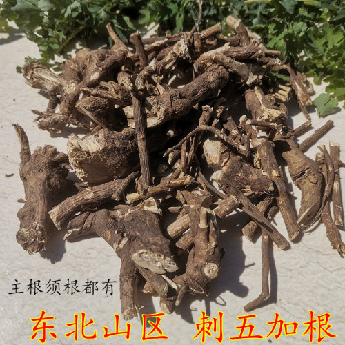 东北产地刺五根刺拐棒