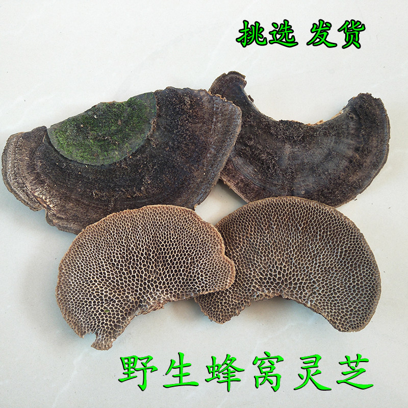野生蜂窝灵芝 毛蜂窝菌 蜂窝灵芝 毛蜂窝菌 100克 手选蜂窝灵芝