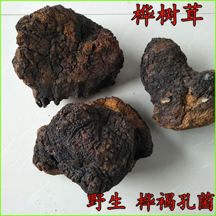 桦树茸250克 白桦茸 桦褐 桦树菇 俄罗斯野生桦树茸 野生桦褐孔菌