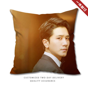 彭冠英同款抱枕阳光之下电视剧周边海报掌中之物傅慎行沈知节靠枕