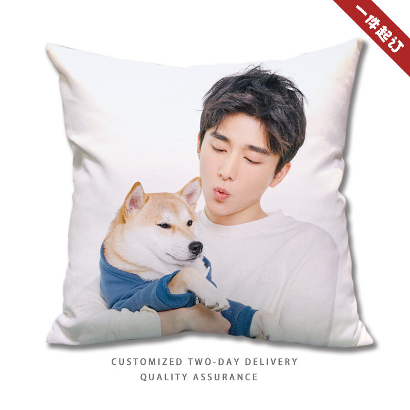 张新成抱枕被子以家人之名贺子秋周边明星海报玩偶定制娃娃靠枕垫,模玩/动漫/周边/娃圈三坑/桌游,动漫毛绒/抱枕/坐垫,淘宝优惠券,粉丝福利购,淘宝优惠卷