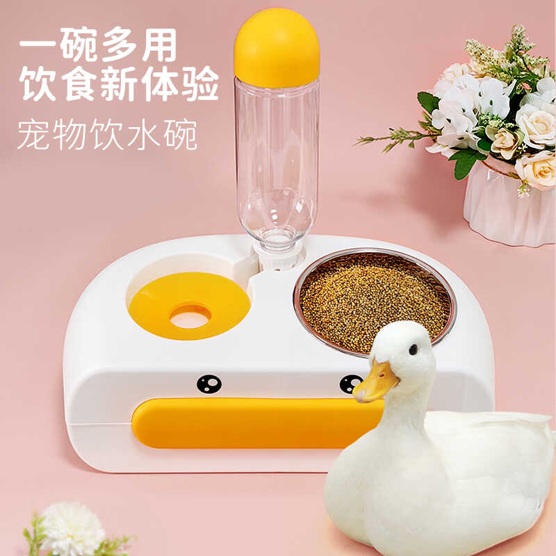 鸭子自动饮水器食盆宠物喂食器柯尔鸭防踩翻养小鸡吃饭碗用品