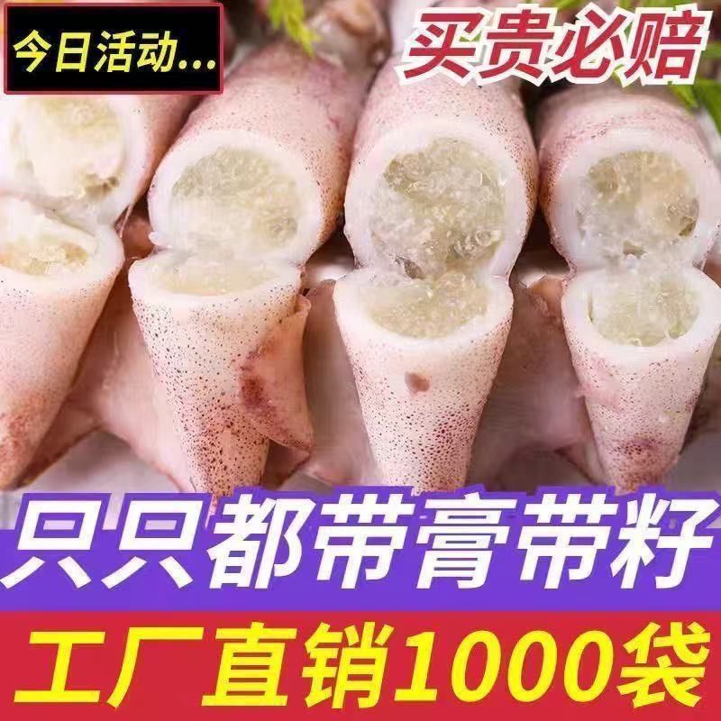 顺丰5斤满籽海兔新鲜海兔冷冻海兔子墨鱼乌贼烧烤火锅食材小鱿鱼