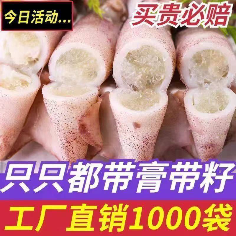 新鲜全籽籽乌带籽海兔子满籽笔管鱼冷冻墨鱼小鱿鱼八爪鱼海鲜批发