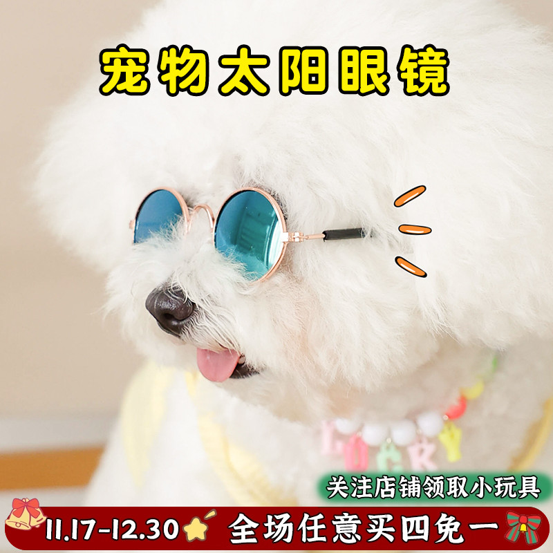 小壹有宠太阳眼镜耍帅扮酷