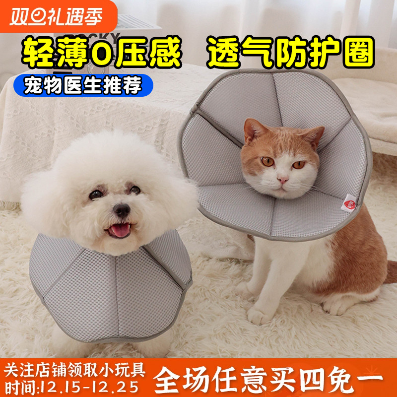 伊丽莎白圈猫咪项圈绝育狗狗防舔